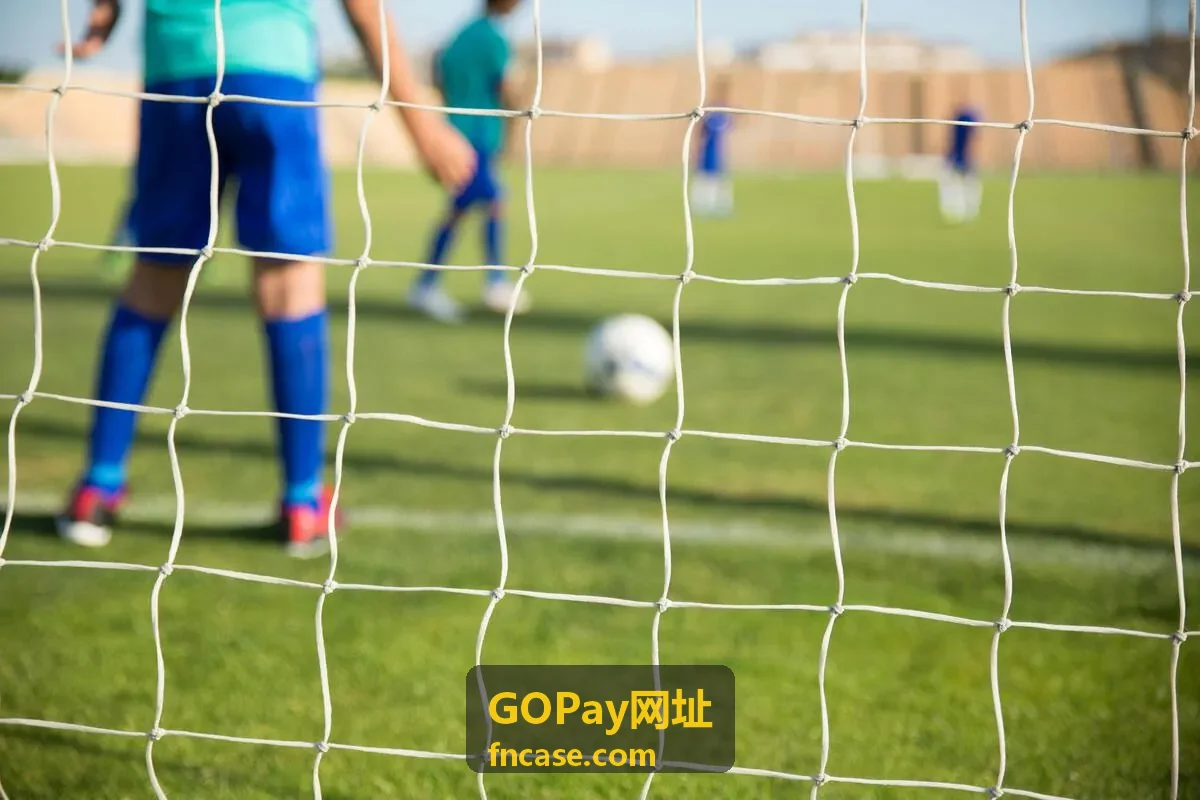GOPay网址资金管理方案背景图