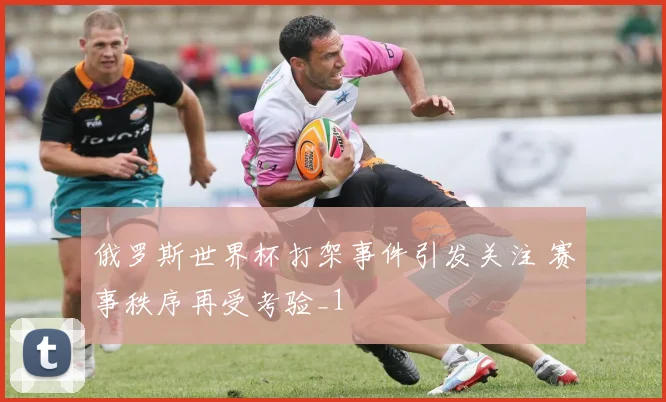 俄罗斯世界杯打架事件引发关注 赛事秩序再受考验_1