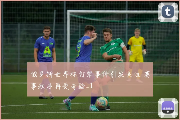 俄罗斯世界杯打架事件引发关注 赛事秩序再受考验_1