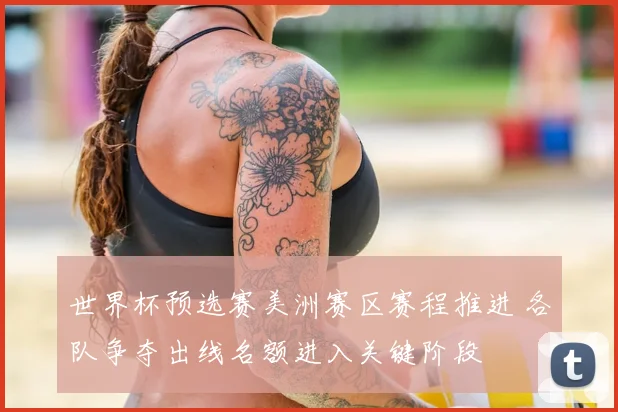 世界杯预选赛美洲赛区赛程推进 各队争夺出线名额进入关键阶段